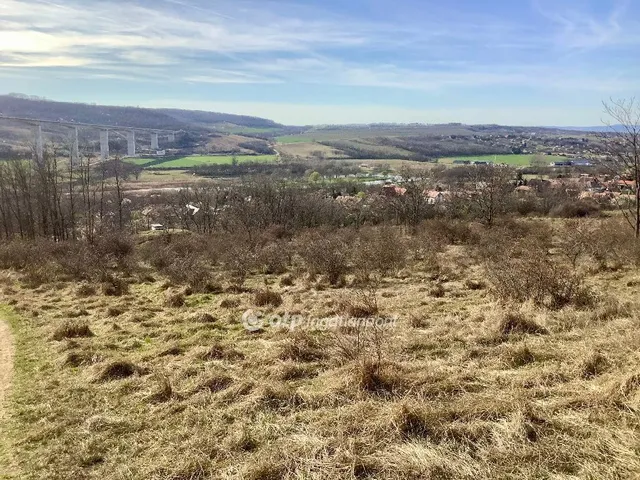 Eladó telek Kőröshegy 2991 nm