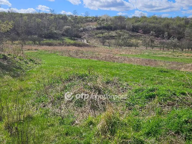 Eladó telek Demjén 754 nm