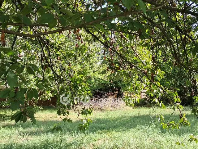 Eladó telek Pásztó 631 nm