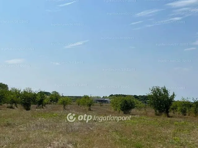Eladó telek Fehérgyarmat 8593 nm