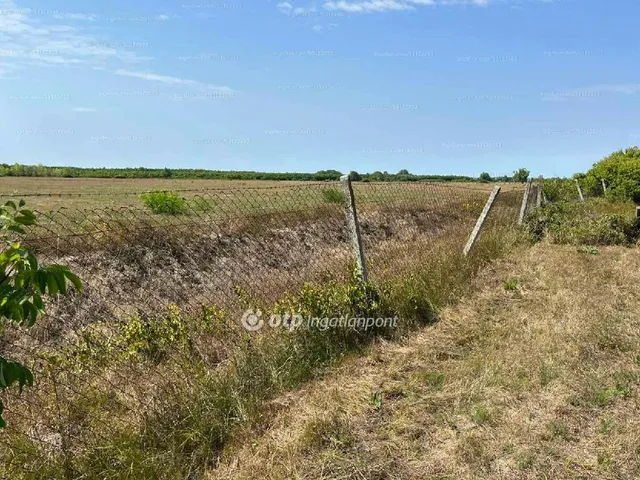 Eladó telek Fehérgyarmat 8593 nm