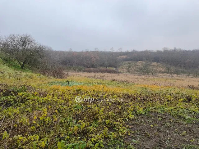 Eladó telek Demjén 754 nm