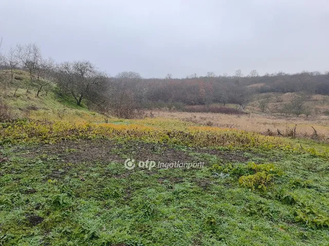 Eladó telek Demjén 754 nm