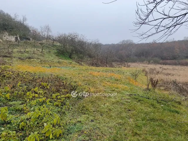 Eladó telek Demjén 754 nm