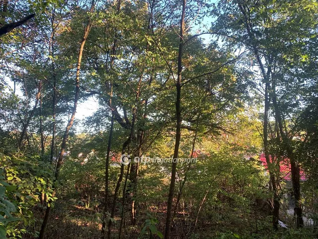 Eladó telek Egerszalók 2918 nm