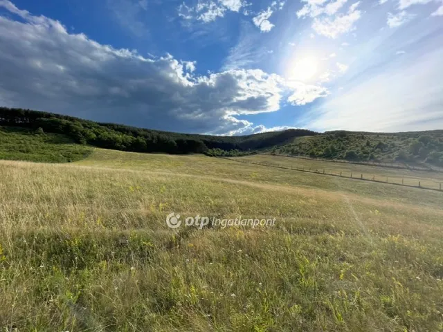 Eladó telek Bátor 6049 nm