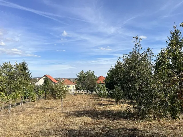 Eladó telek Noszvaj 1318 nm