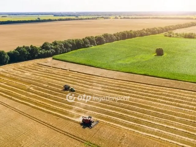 Eladó mezőgazdasági ingatlan Várpalota, x 100536 nm