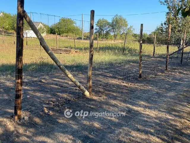 Eladó mezőgazdasági ingatlan Várpalota, x 1640 nm