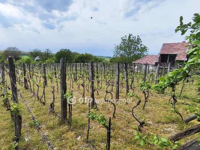 Eladó mezőgazdasági ingatlan Somlószőlős 1294 nm