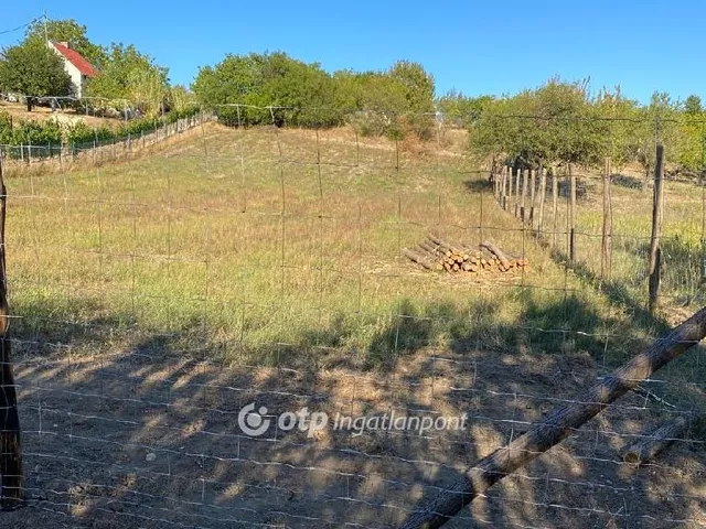 Eladó mezőgazdasági ingatlan Várpalota 1640 nm