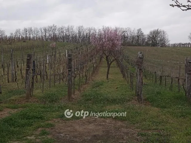 Eladó telek Románd 1119 nm