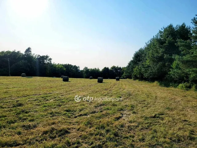 Eladó telek Szalafő 8215 nm
