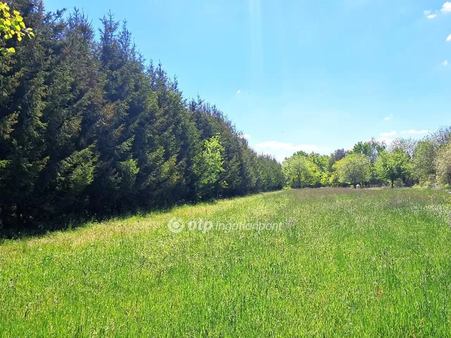 Eladó telek Szalafő 4608 nm