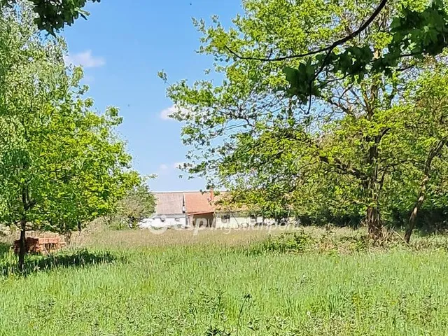 Eladó telek Szalafő 4608 nm