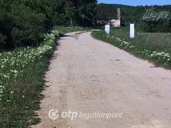 Eladó mezőgazdasági ingatlan Vászoly 6955 nm