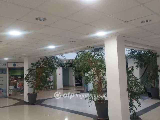 Kiadó kereskedelmi és ipari ingatlan Veszprém 42 nm