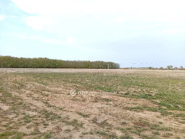 Eladó telek Tüskevár 73847 nm