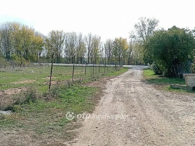 Eladó mezőgazdasági ingatlan Tüskevár 73847 nm