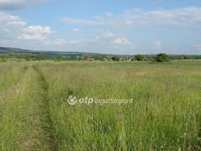 Eladó mezőgazdasági ingatlan Sopron, Aranyhegy 8662 nm