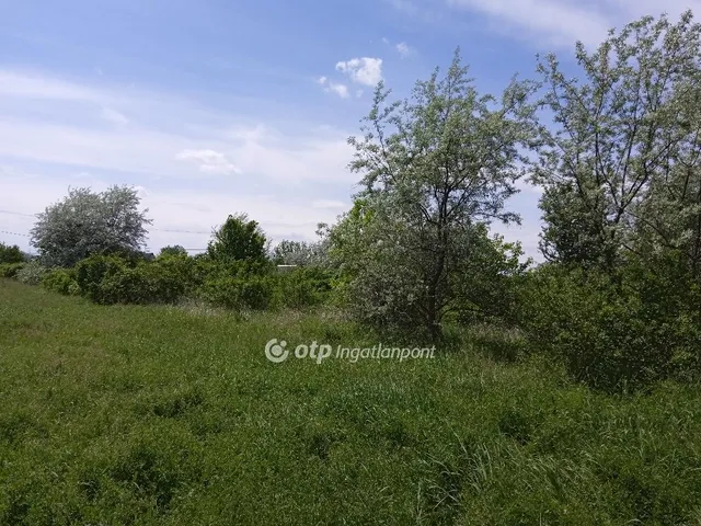 Eladó telek Tószeg, horgásztó 800 nm