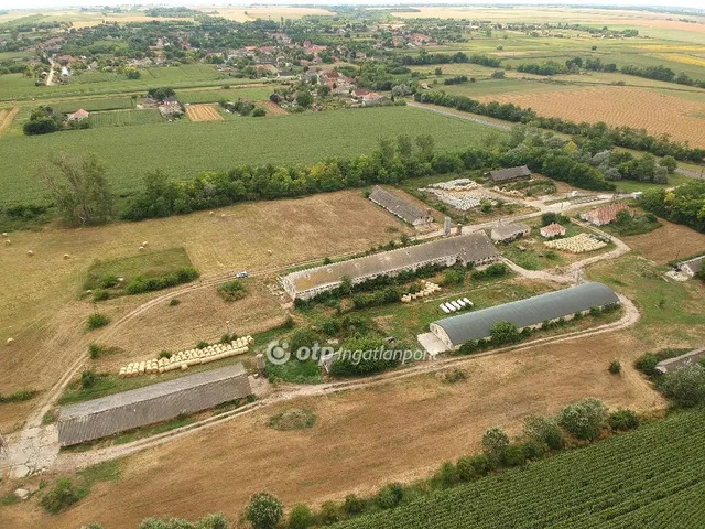 Eladó mezőgazdasági ingatlan Csősz 3913 nm