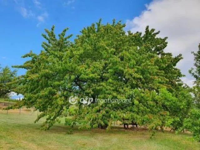 Eladó telek Bicske 3085 nm