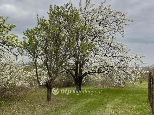 Eladó telek Érd 2538 nm