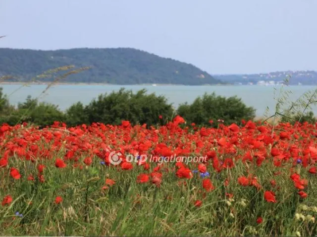 Eladó telek Balatonudvari 700 nm