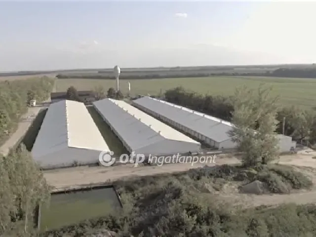 Eladó mezőgazdasági ingatlan Nagylók 24581 nm