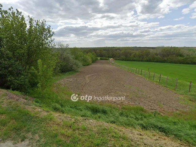 Eladó telek Martonvásár 3329 nm