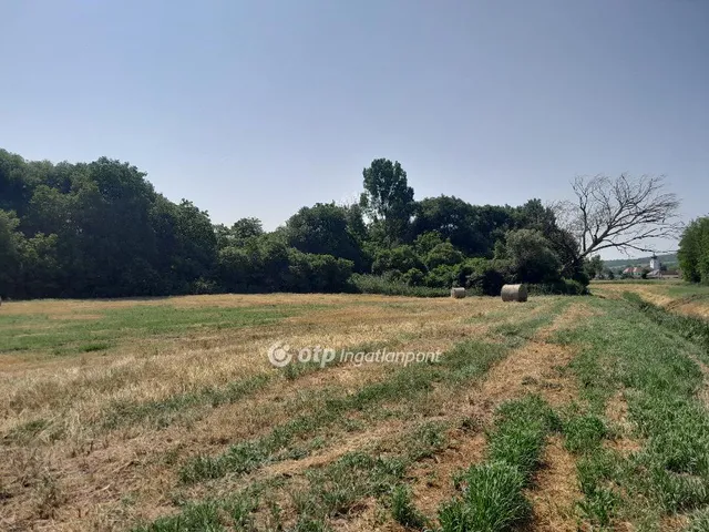 Eladó telek Écs 30568 nm