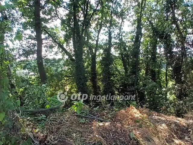 Eladó telek Érd, érdliget 2095 nm