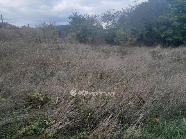 Eladó telek Szár 1028 nm