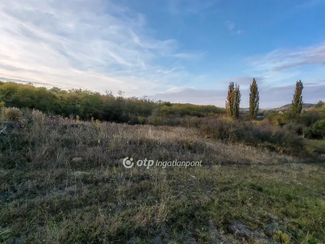 Eladó telek Tinnye 1517 nm