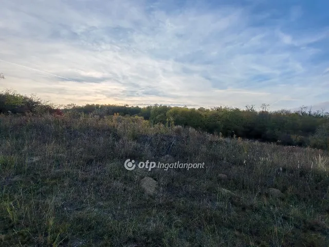 Eladó telek Tinnye 1517 nm