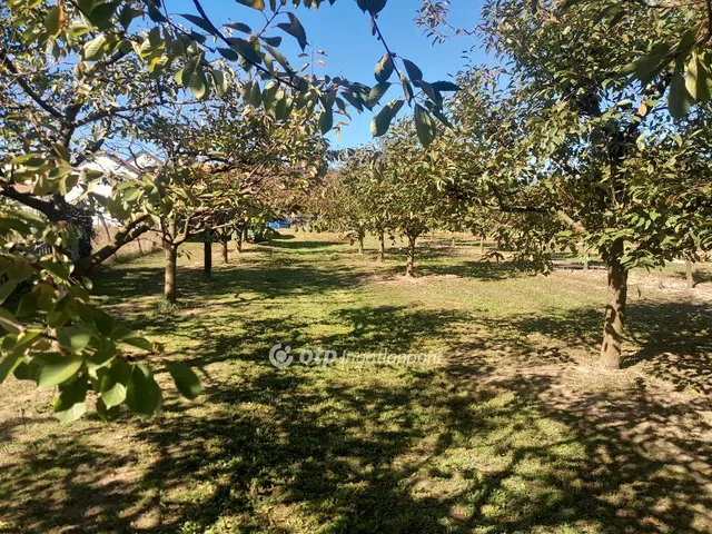 Eladó telek Zsámbék 836 nm