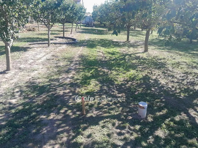 Eladó telek Zsámbék 836 nm