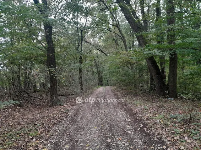 Eladó mezőgazdasági ingatlan Tarján 17240 nm