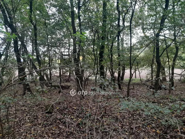 Eladó mezőgazdasági ingatlan Tarján 17240 nm