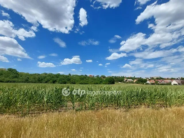 Eladó telek Ercsi, Ipari park 16990 nm