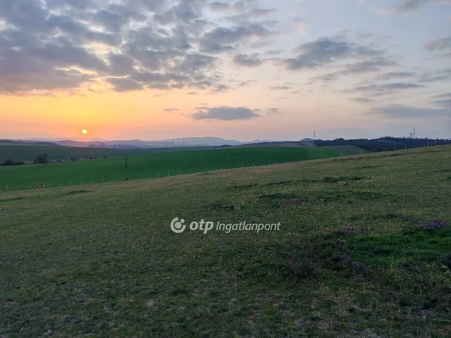 Eladó mezőgazdasági ingatlan Szomor 10000 nm