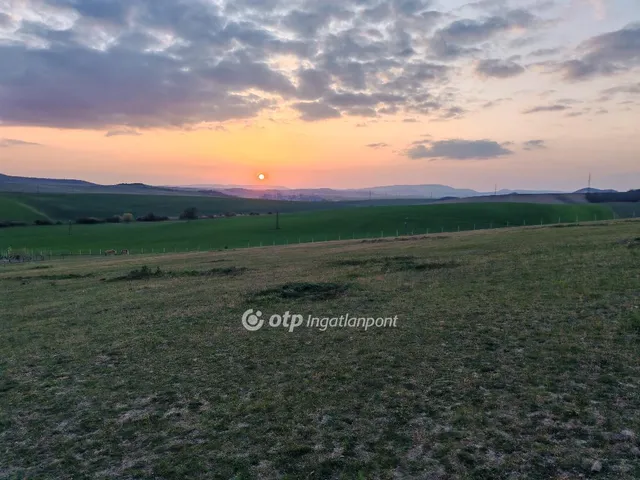 Eladó mezőgazdasági ingatlan Szomor 10000 nm