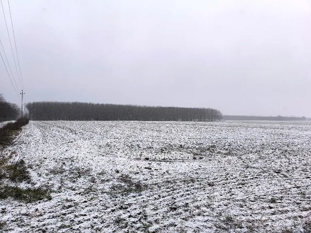 Eladó telek Ócsa 87008 nm