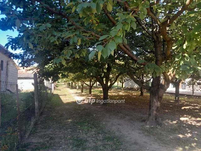 Eladó telek Zsámbék 836 nm