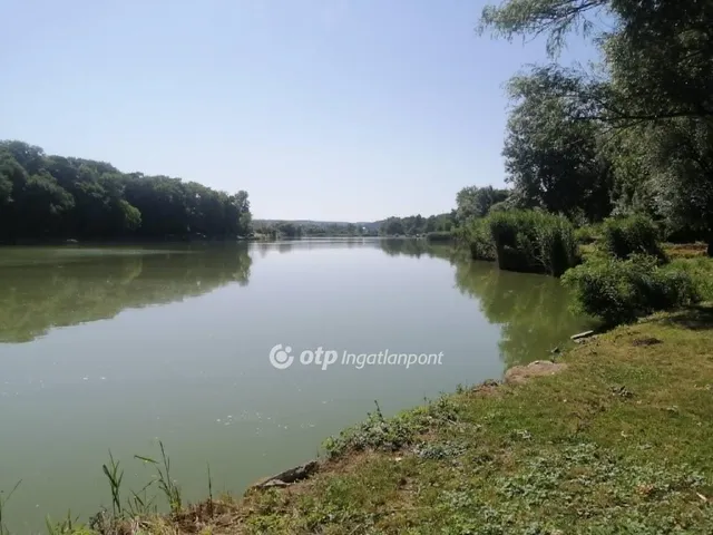 Eladó mezőgazdasági ingatlan Tamási 49770 nm