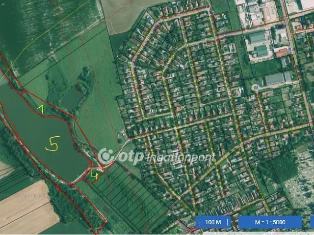 Eladó mezőgazdasági ingatlan Tamási 49770 nm