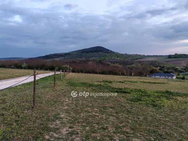 Eladó telek Szomor 10000 nm