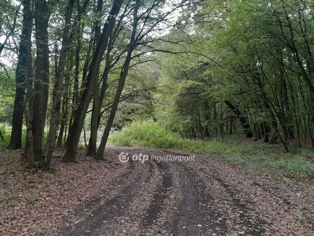 Eladó mezőgazdasági ingatlan Tarján 17240 nm