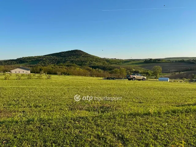 Eladó telek Szomor 10000 nm